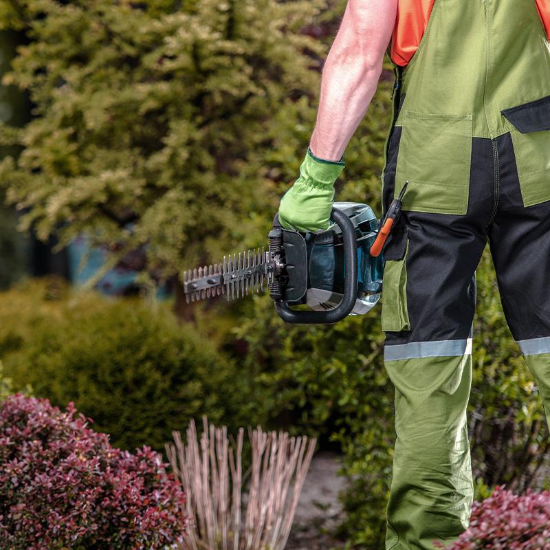 Our Friendly Staff Help Your Garden Maintenance Fulfil Its Potential